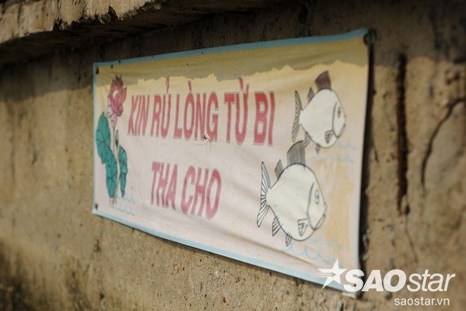 thacatienongTaovetroi (21)