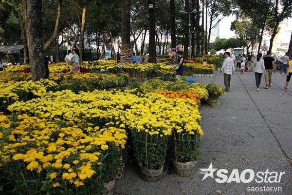khongkhiTetSaiGon2016 (43)