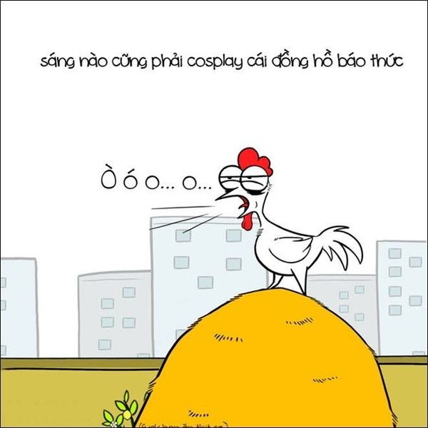 Chuyenconga (3)
