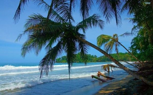 mocchau_phuquoc_thienduonghagioi (6)