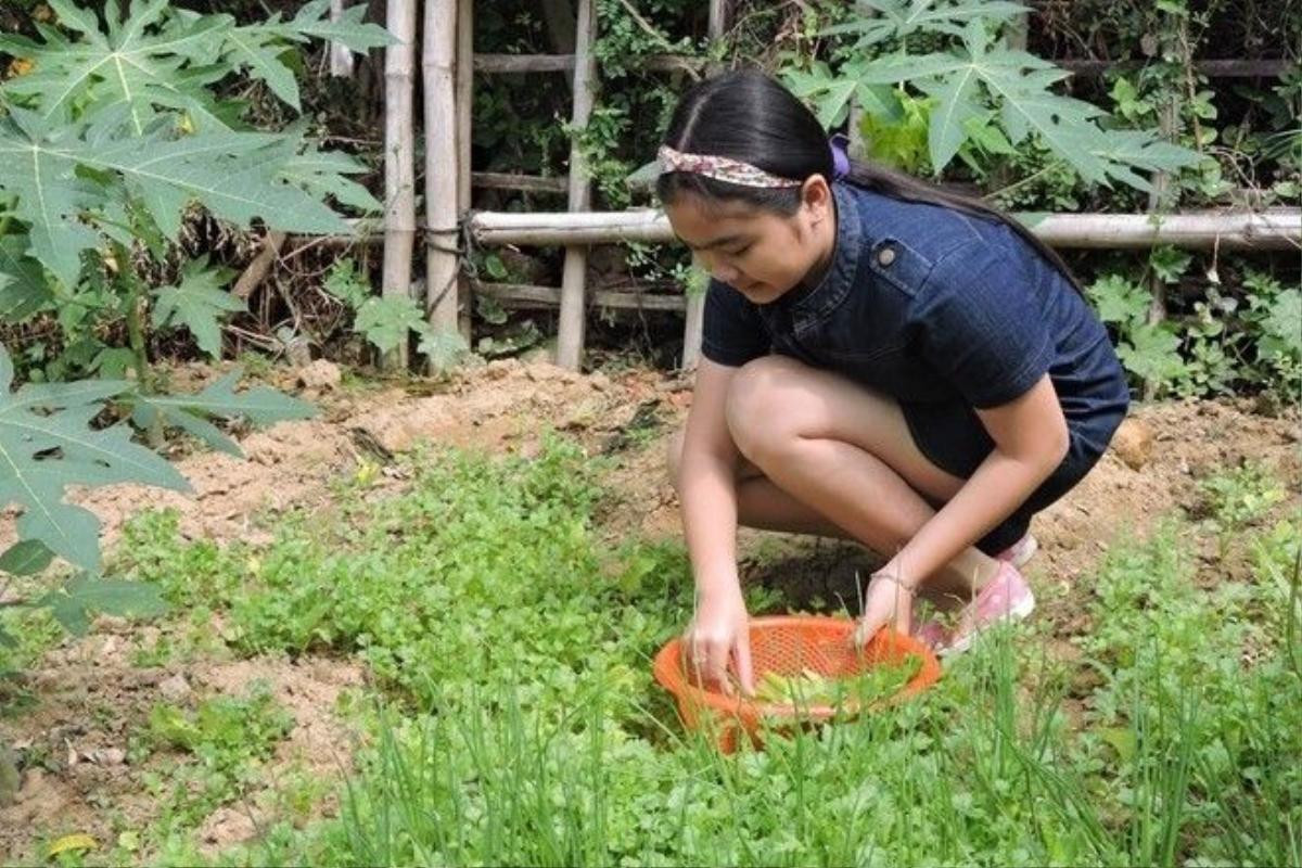 Là con út nên cô bé rất được ba mẹ cưng chiều, chỉ phải làm những việc vặt như hái các loại rau quả được trồng ngay trong vườn nhà.