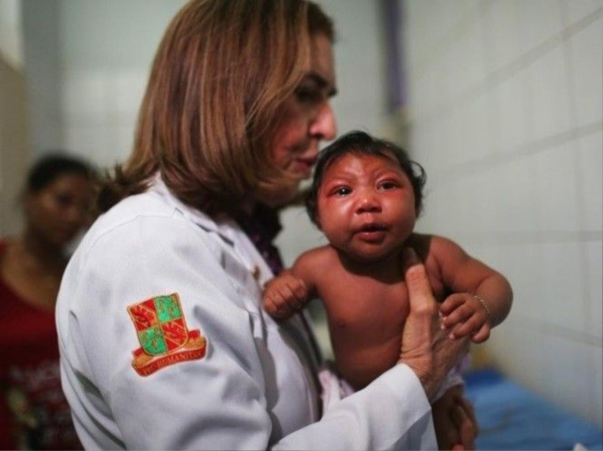 Một nhóm bác sĩ Argentina cho rằng dịch teo não bất thường ở trẻ sơ sinh tại Brazil không phải do virút Zika mà do một loại hóa chất diệt ấu trùng muỗi có trong nguồn nước sinh hoạt. Ảnh: Techtimes